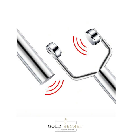 Gold Secret Magneet Y