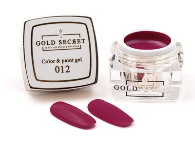 Gold Secret Color & Paint gel 012