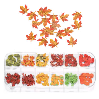 Gold Secret Nail Art Doosje 3 herfst