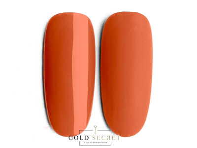 Gold Secret Gel Polish 113